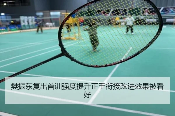 樊振东复出首训强度提升正手衔接改进效果被看好