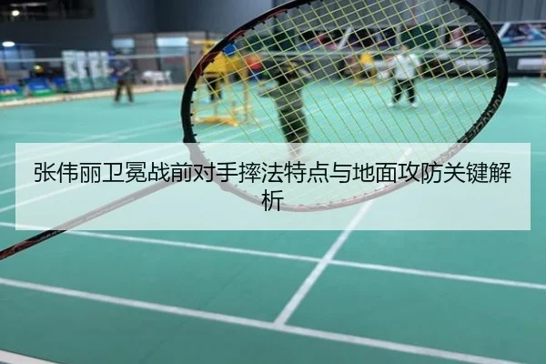 张伟丽卫冕战前对手摔法特点与地面攻防关键解析